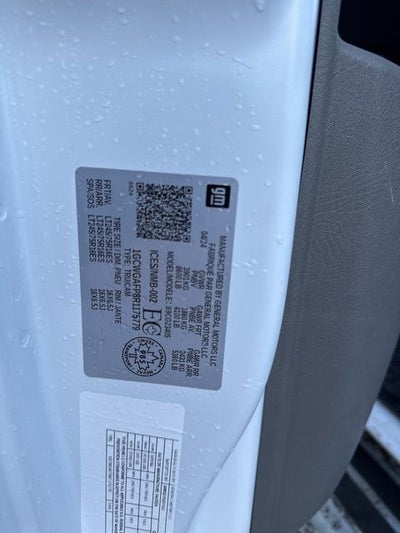 2024 Chevrolet Express 2500 Work Van Cargo