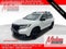 2019 Honda Passport Elite
